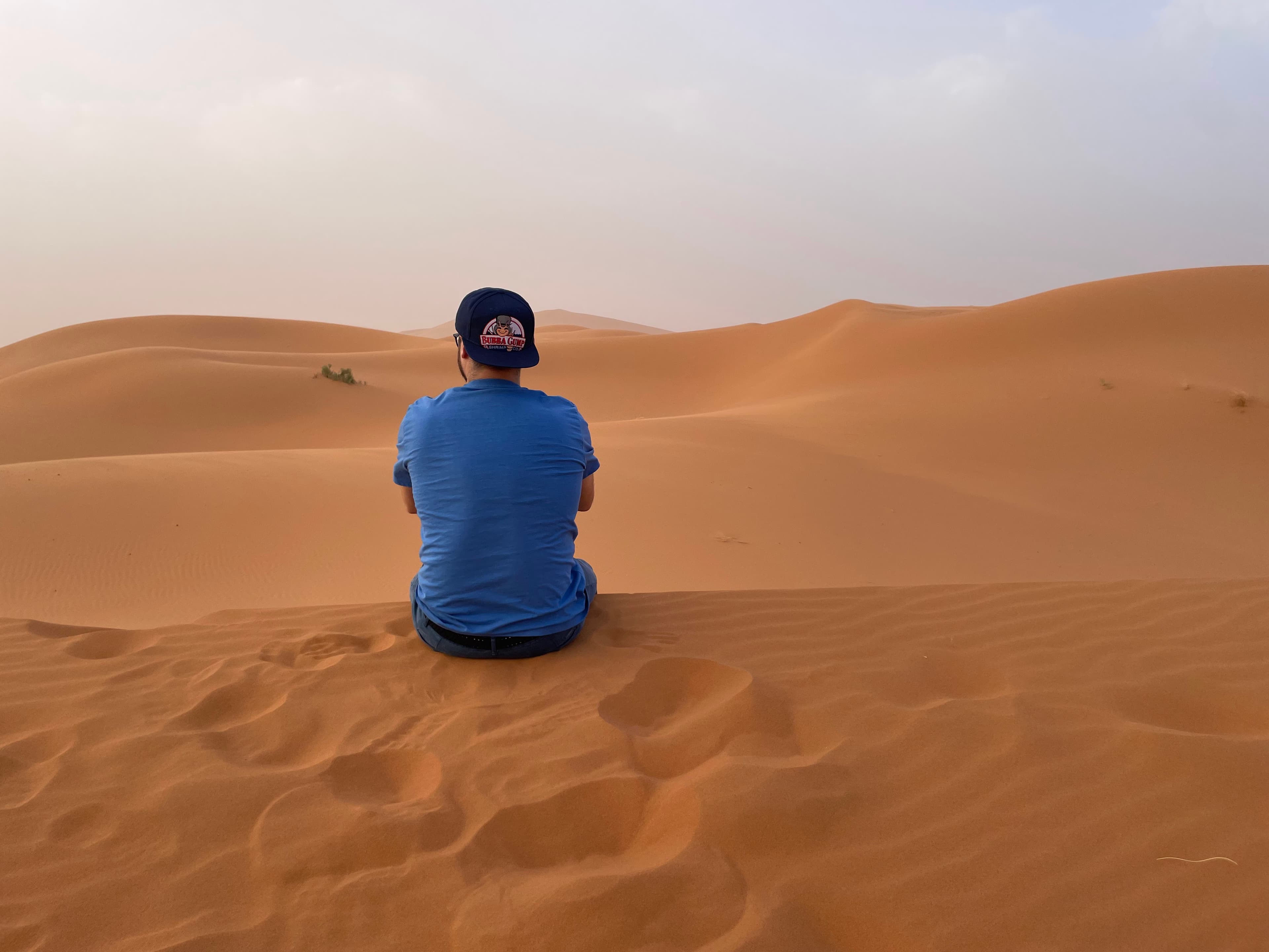 In the desert